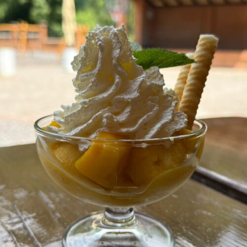 Mango sorbet