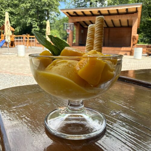 Mango sorbet